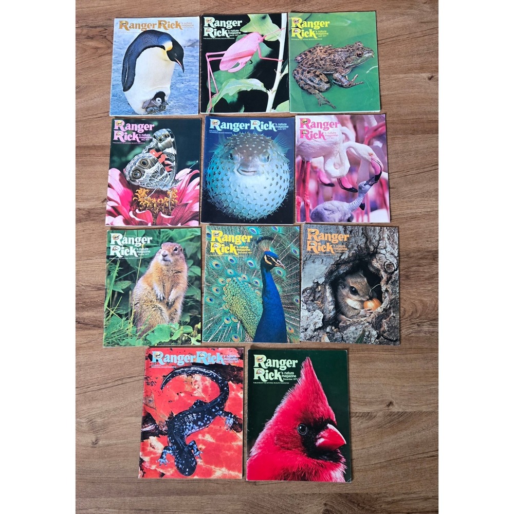 Ranger Rick Nature Magazine Lot 11 1977 February to December Vintage
